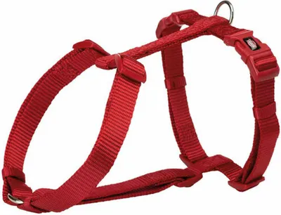 Produktbild von Premium H-Geschirr 30–44 cm/10 mm rot