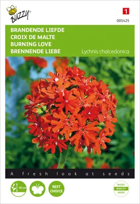 Produktbild von Brennende Liebe | Nelkensamen von Buzzy Seeds
