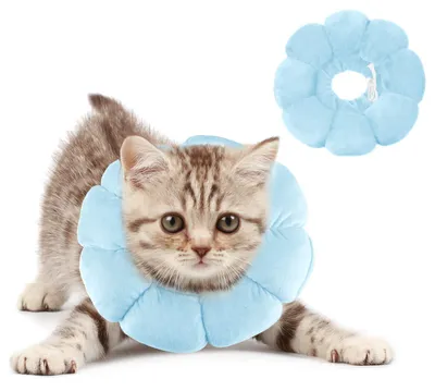 Produktbild von Halsband für Katzen, verstellbarer Halskragen in Sonnenblumendesign
