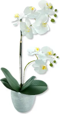 Produktbild von Kunst-Pflanze Orchidee weiße Blüten 47cm Keramik Topf silber künstliche Phalaenopsis Kunstblume