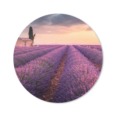 Produktbild von MuchoWow® Mauspad Mousepad Lavendel - Blumen - Lila - Feld 50x50 cm - Mousepads - Maus Mat - Pad - Mausunterlage - Vinyl