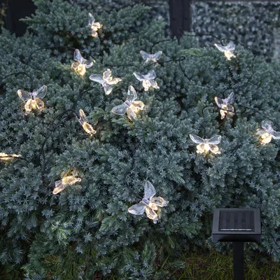 Produktbild von LED Solar Lichterkette Schmetterlinge - 15 warmweiße LED - L: 2,8m - Lichtsensor - transparent