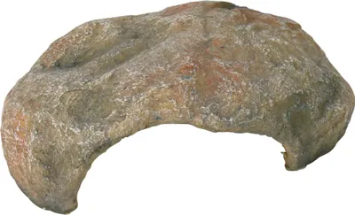 Immagine prodotto di Reptilienhöhle 27 × 10 × 22 cm
