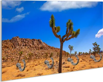 Produktbild von Wallario Schlüsselbrett aus Glas, Motiv: Palmlilie im Nationalpark Yucca Valley  Wüstenlandschaft, 30 x 20 cm mit 4 Haken