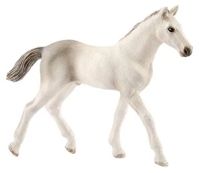 Immagine prodotto di Schleich Farm World - Puledro Holsteiner 17079