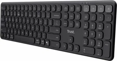 Produktbild von Trust Vaiya, Volle Größe (100%), Kabellos, RF Wireless + Bluetooth, Scherenschalter, Schwarz
