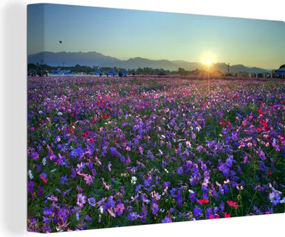 Produktbild von OneMillionCanvasses® - Leinwandbilder - 140x90 cm, Blumen - Lila - Sonnenuntergang, Wandbilder Kunstdruck Wanddekoration