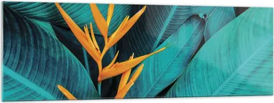 Produktbild von Bilder auf glas - Einteilig - Blumen Tropen Blätter - 160x50cm - Glasbilder - Wandbilder - Bilder - zum Aufhängen bereit - Wanddekoration aus Glas - Glas Bilder - Wandbild auf Glas - GAB160x50-5116