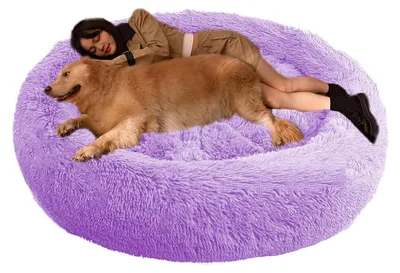 Productafbeelding van Hondenbed orthopedisch, kattenbed rond, paars, diameter 120 cm