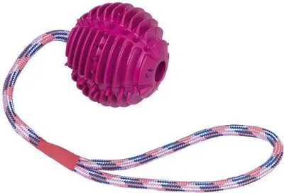 Produktbild von Rutschigkeitsfreundliches Hundespielzeug mit Gummiwürfel und widerstandsfähigem Polyamid- oder Nylon-Seil