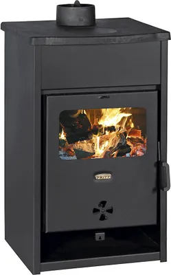 A black wood-burning stove with a glass door showing a fire inside.