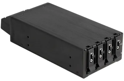 Produktbild von DELOCK Slim Bay Wechselrahmen für 4 x M.2 NVMe SSD SFF-8654