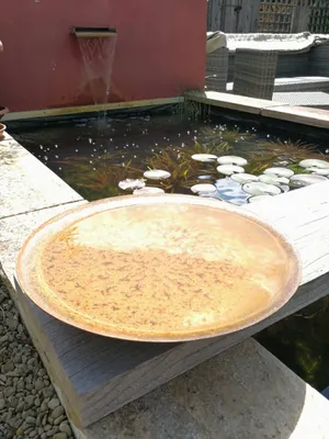 Produktbild von Edelrost Dekoschale rund, 30 cm