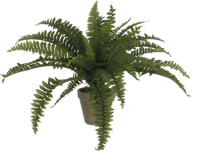 Produktbild von Mica Decorations Farn Kunstpflanze im Blumentopf Stan - H45 x Ø70 cm - Grün