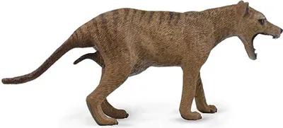 Immagine prodotto di COLLECTA Thylacine (Tigre della Tasmania) -samice