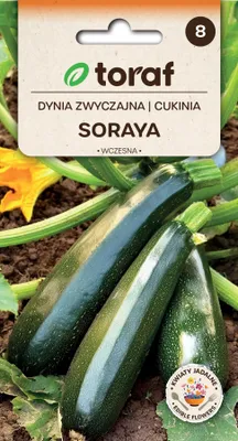 Zdjęcie produktu dla Cukinia SORAYA Nasiona 5g Toraf 31 Dynia zwyczajna