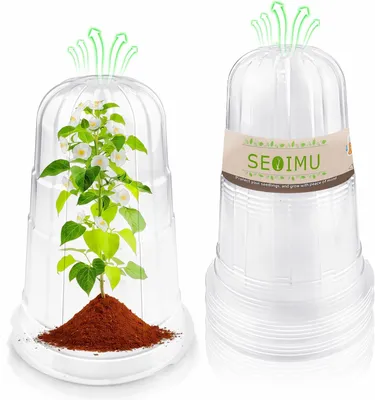 Produktbild von Pflanzenhüte 30 Stück, transparent, atmungsaktiv gegen Frost und Schnecken, für Garten