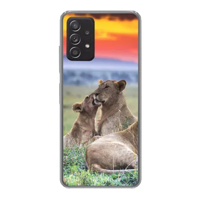Produktbild von MuchoWow® Handyhülle Schutzhülle Hülle für Samsung galaxy a73 Löwen bei Sonnenaufgang Silikon Softcase Handy Hülle - Handyhülle