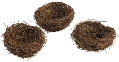Produktbild von EDUPLAY 370130 Geflochtenes Nest 3er Set