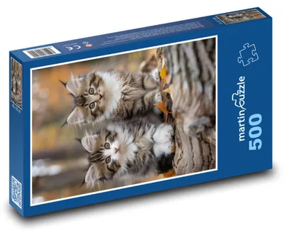 Produktbild von Puzzle 500 Verspielte Waldkätzchen - martinpuzzle