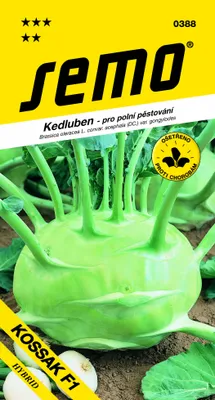 Obrázok produktu pre KALERÁB poloskorý biely Kossak F1