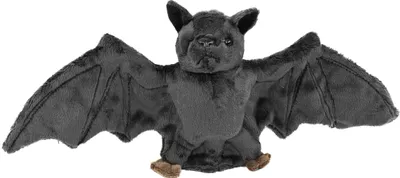 A stuffed toy bat is shown against a white background.