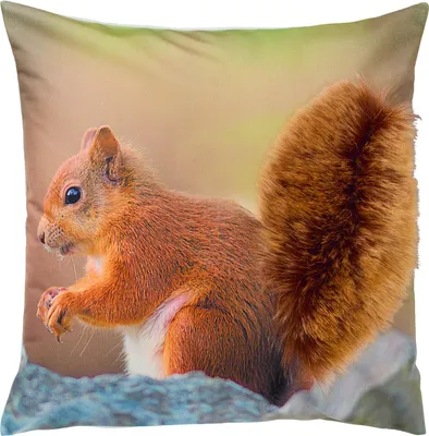 Produktbild von REDBEST Kissenhülle braun 40x40 cm