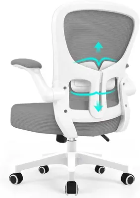 Produktbild von Ergonomischer Bürostuhl, Schreibtischstuhl mit Netzrückenlehne, Lordosenstütze, 130° Neigung, hochklappbare Armlehnen, Bis 130 kg, Grau