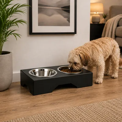 Productafbeelding van QLS Voerbakstandaard, 8 cm, metaal, voor honden en katten, zwart, model 11508, AI-gegenereerde afbeelding