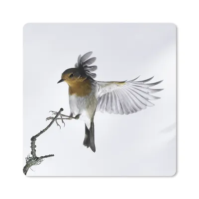 Produktbild von MuchoWow® Mauspad Mousepad Nahaufnahme Vogel 20x20 cm - Mousepads - Maus Mat - Pad - Mausunterlage - Desk Mat - Bureauartikeln