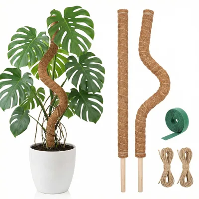 Obrázek produktu pro Sada podpěr pro rostlinu Monstera – 2 flexibilní tyče z kokosových vláken, délka 80 cm