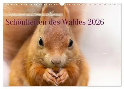 Produktbild von Schönheiten des Waldes (Wandkalender 2026 DIN A3 quer), CALVENDO Monatskalender