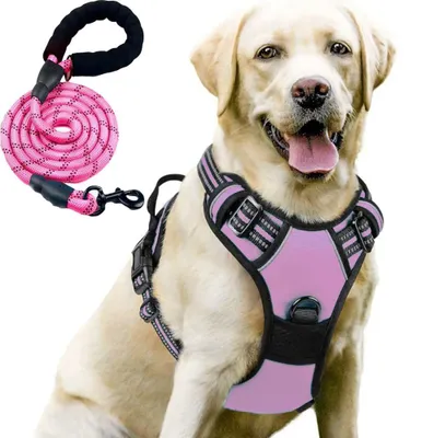 Image de Harnais Chien avec Laisse, Léger Respirant Réglable Anti Traction Réfléchissant - Rose Taille S