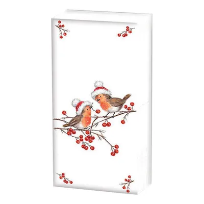 Produktbild von Papiertaschentücher "X-Mas Robin"