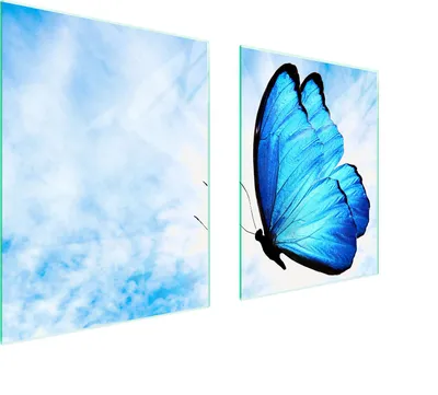 Obrázok produktu pre Sklenená Ochranná Tabuľa Pre Herd 85X52 Butterfly