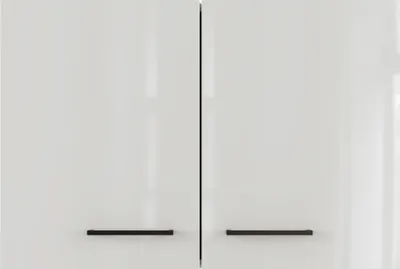 Obrázok produktu pre Kuchynská skrinka horná Flex Well Lund 80 x 32 x 54,8 cm svetlo sivá lesk dymovo sivá matný