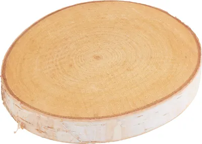 Produktbild von Birkenscheibe "Rund", natur, Ø 15 cm
