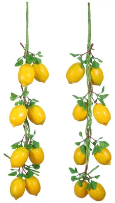 Productafbeelding van Kunstmatige citroengirlande, 2 bundels met ophanghaak, 52 cm (20,47 inch) lange decoratie voor keuken, tuin, feesten en als woonaccessoire.