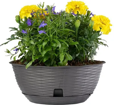 Produktbild von BAMA PAGLIA Pflanzgefäß, 2er-Set, 20 cm, Anthrazit