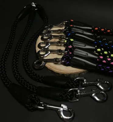 Image de Laisse pour chien Palkar 50 cm x 14 mm noir