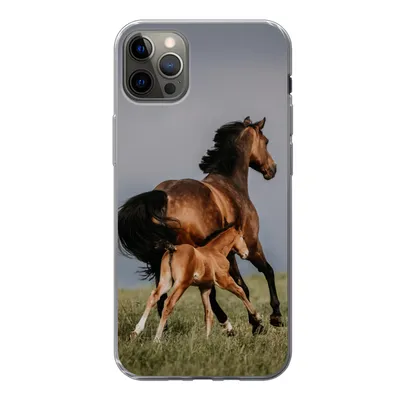 Produktbild von MuchoWow® Handyhülle Schutzhülle Hülle für iPhone 13 Pro Max Tiere - Pferde - Fohlen Silikon Softcase Handy Hülle - Mobiltelefon