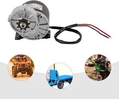 Image de Moteur pour vélo électrique - Moteur à engrenages MY1016Z - 12 V, 250 W - 2 750 tr/min - Courant continu à balais - Charge admissible env. 100 kg - Noir