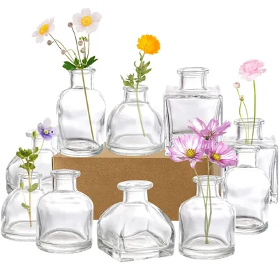 Productafbeelding van Set van 10 kleine glazen vaasjes voor bloemen, in verschillende vormen