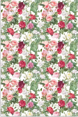 Produktbild von MuchoWow® Poster Rosen - Muster - Pastell 120x180 cm - Kunstposter