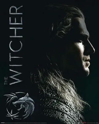 Produktbild von Poster The Witcher Shadows Embrace 40x50cm
