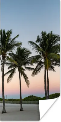 Produktbild von MuchoWow® Poster Eine Reihe von Palmen vor einem farbigen Himmel 20x40 cm - Plakat - Foto