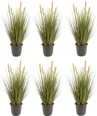 Produktbild von 6er Set künstliche Gräser im Topf H. 45cm grün gelb Emerald Zimmerpflanzen