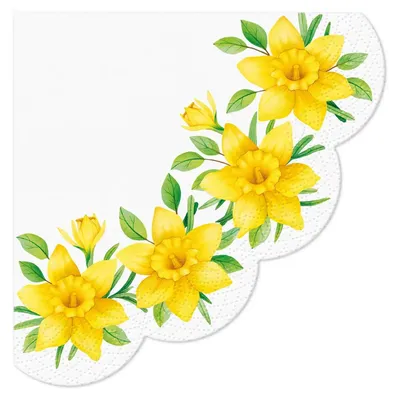Immagine prodotto di 12 tovaglioli rotondi Narcisi in fiore - Fiori gialli di narciso Ø32cm
