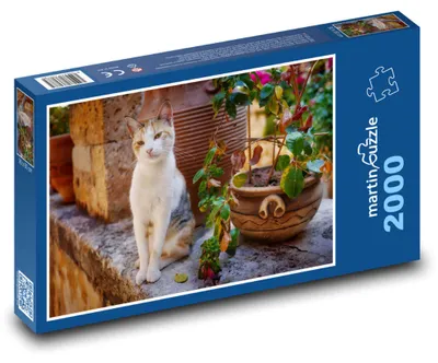 Produktbild von martinpuzzle - Puzzle 2000 Teile - Katze - Tier