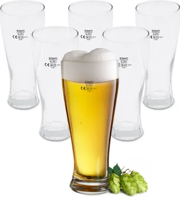 Produktbild von Bierglas 0,25 L aus Klarglas - 6er Set - Weizenbier Glas 250 ml spülmaschinenfest - Pilsglas Bierkelch Bierkrug Trinkglas für Pilsner Bier Weißbier